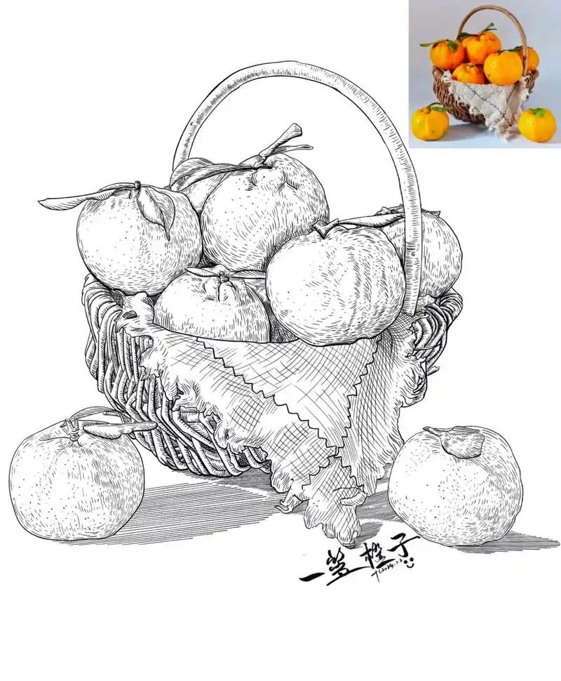 水果写生:一篮橙子92:线描写生素材分享               	  感谢素材