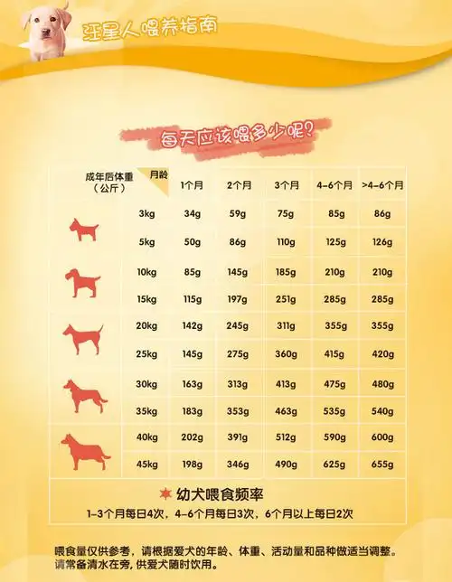 宝路狗粮通用型幼犬牛肉味4kg泰迪金毛拉布拉多宠物大型