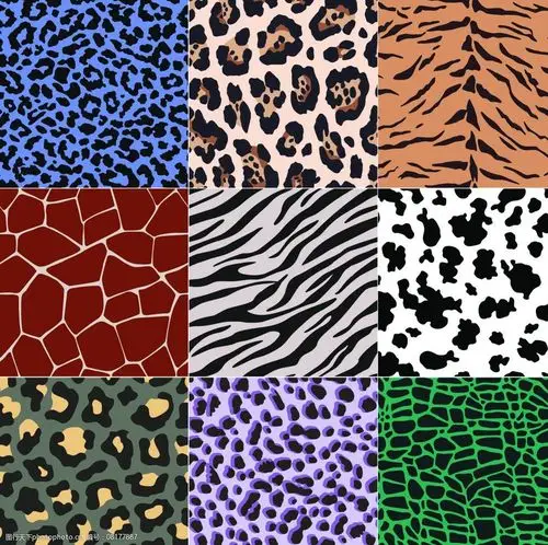 动物皮纹图片