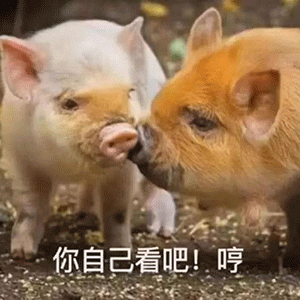 抖音沙雕带字搞笑表情包