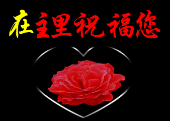 338_240gif 动态图 动图