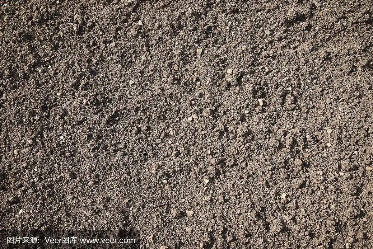 在阳光背景下的棕色耕地土壤