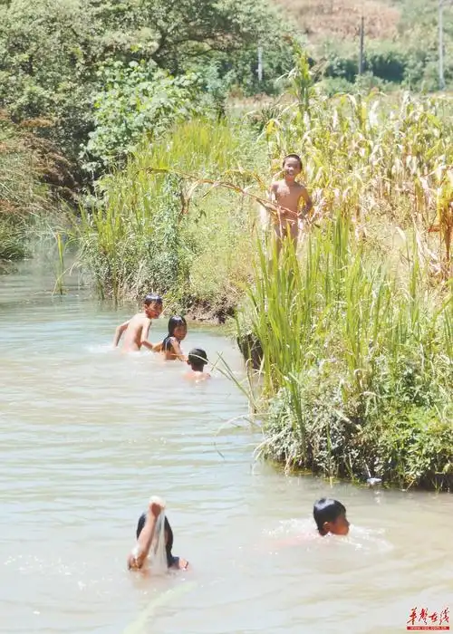 嘉禾县普满乡调塘小溪,几名没带任何救生设备的小孩子在溪水中游泳