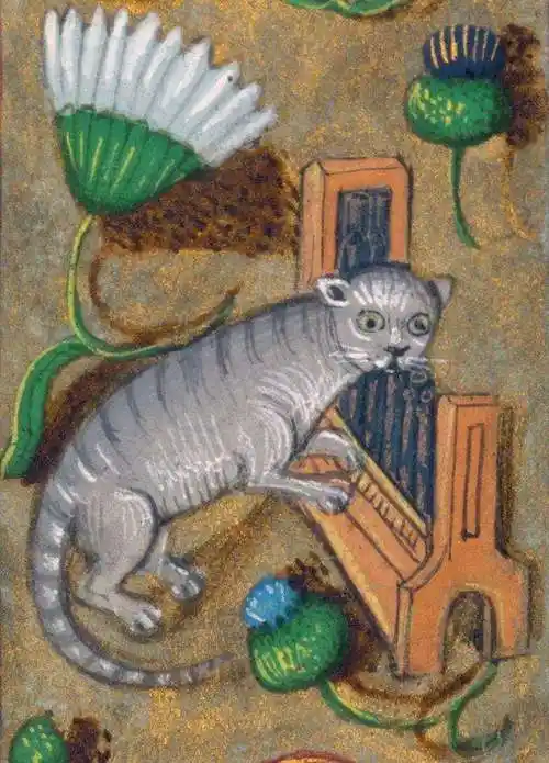 「英国代表性动物」英国国宝动物有哪些 - 宠百科