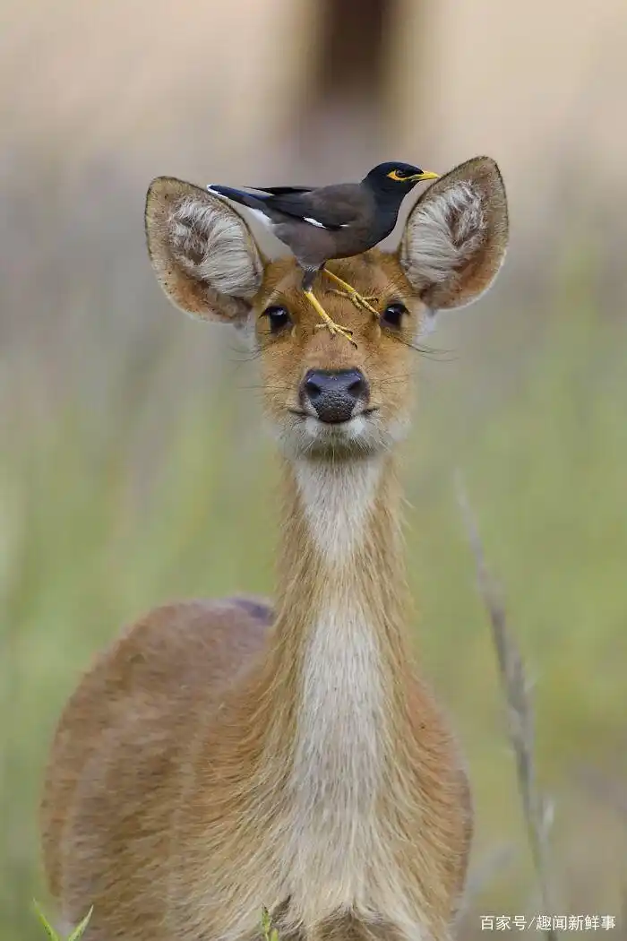 reddit网友晒出40张十分有趣的照片,每一张都很有意思
