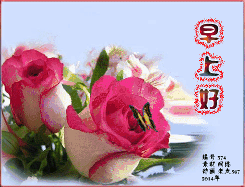 491_375gif 动态图 动图