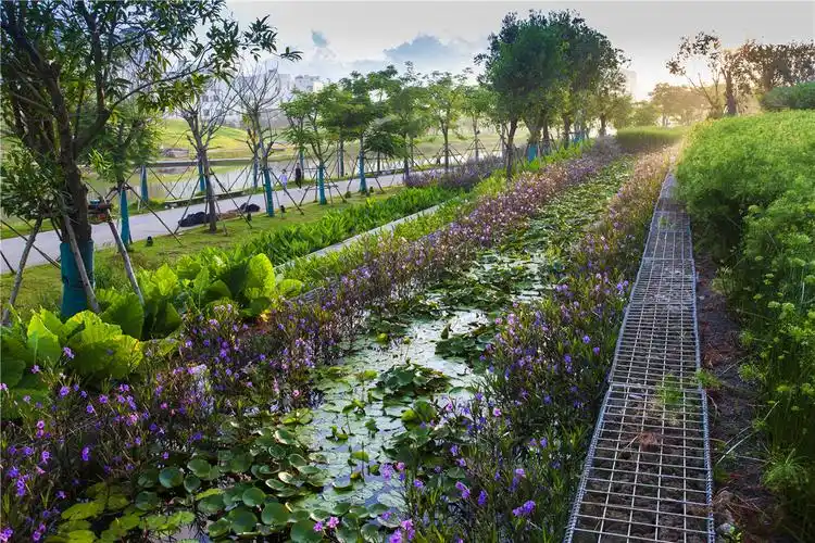 十大最美海绵城市工程top10mostbeautifulspongecitycases