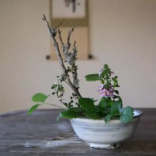 禅意插花作品集每日花艺灵感626