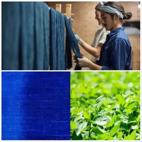 ▼比如"蓝染"工艺,就是从蓼蓝中提取出靛蓝这种颜色,再对布料进行人工