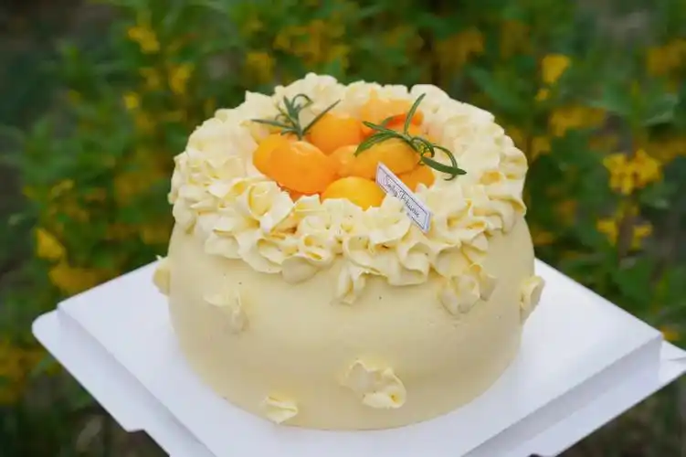 拍一组春天的蛋糕写真