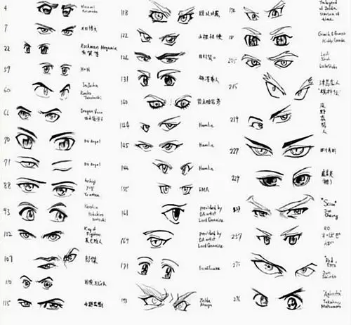 素材眼睛形状神态参考