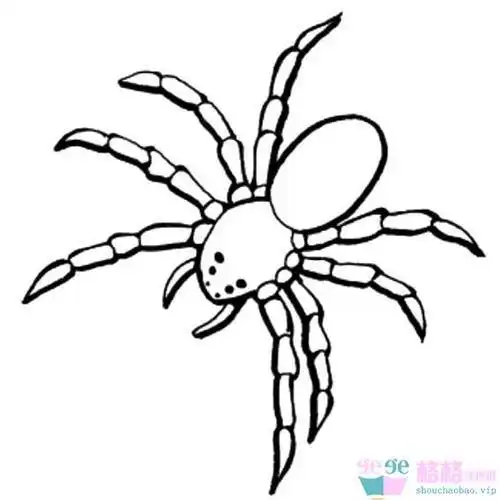 蝴蝶在蜘蛛网上挣扎的简笔画