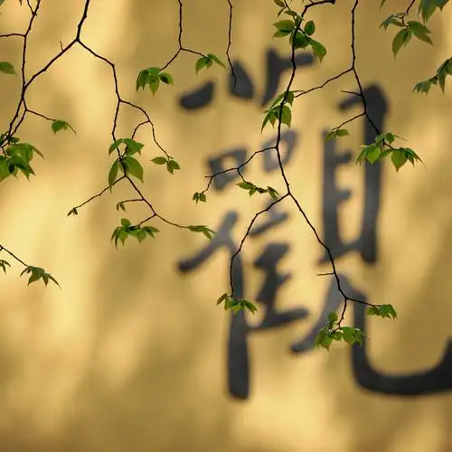 禅意摄影月赛开始征集了名家坐镇奖金丰厚佛系的你不要错过哦