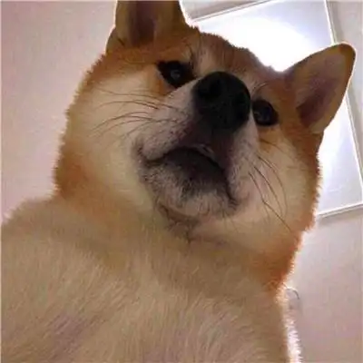 2人基友头像沙雕智障图片