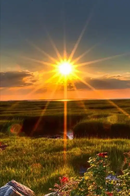 光芒万丈的,只有太阳