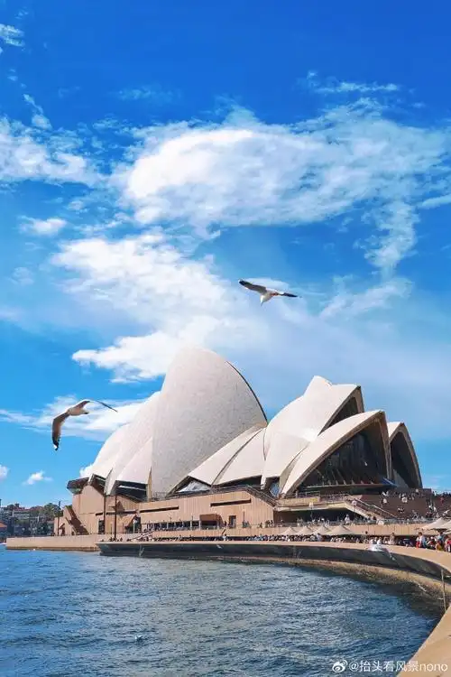 悉尼是一座很上镜的城市,也是一个适合citywalk的地方.
