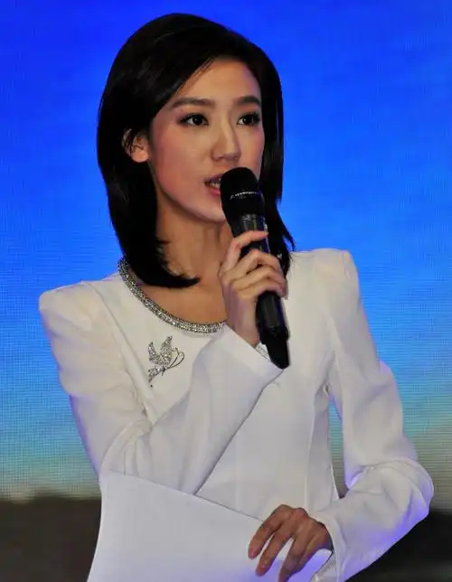 北京电视台主持人的风采.