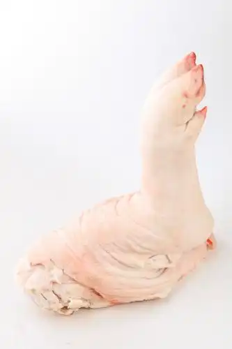 白底上的猪腿 猪腿