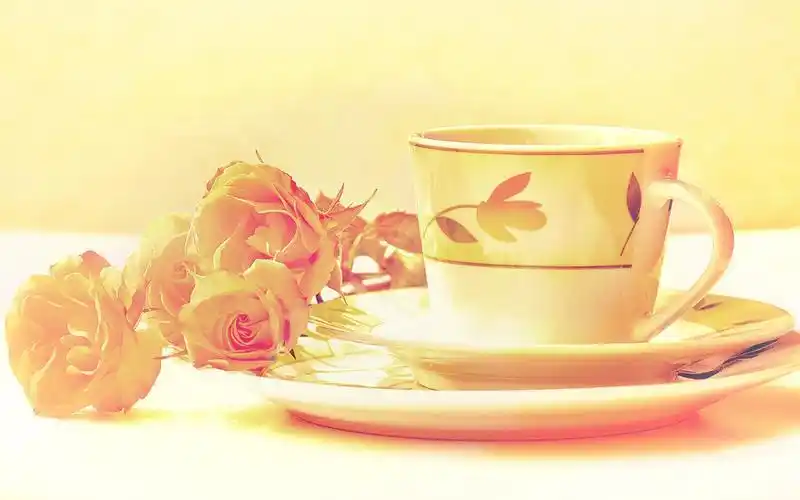 治愈系唯美静物风景图片桌面壁纸