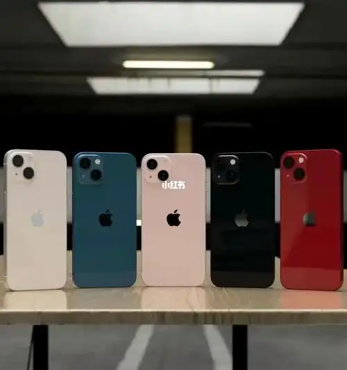 生日礼物_iphone13_送男朋友的生日礼物_科技数码_移动数码_手机瓢邋