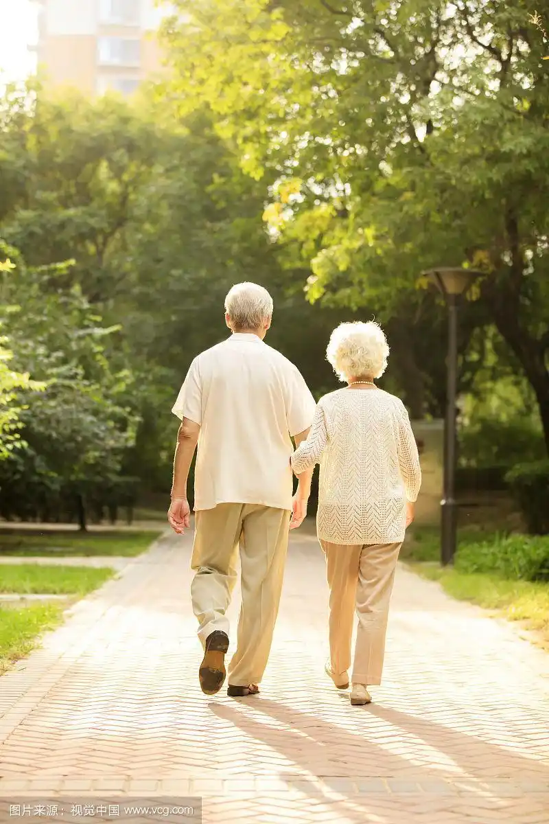 相伴的老年伴侣