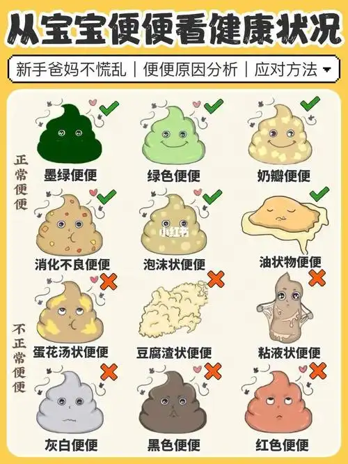 从便便可以看得出宝宝的饮食好不好,身体发育正不正常.