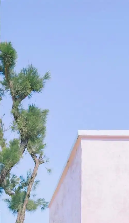 清爽干净的唯美锁屏壁纸分享