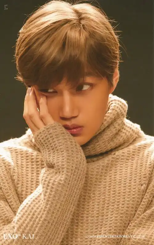 exo系列图片12