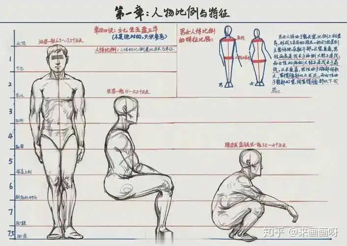 敲黑板记笔记了速写干货人体动态比例造型
