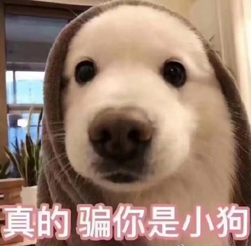 司机的可爱举动#感觉许多出租车司机都挺友好的.