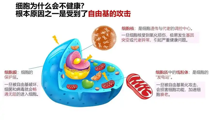 人为什么会生病