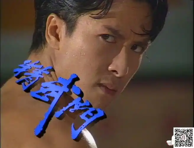[atv][1995][精武门][甄子丹/万绮雯/林志豪][30集全][国粤双语][繁简
