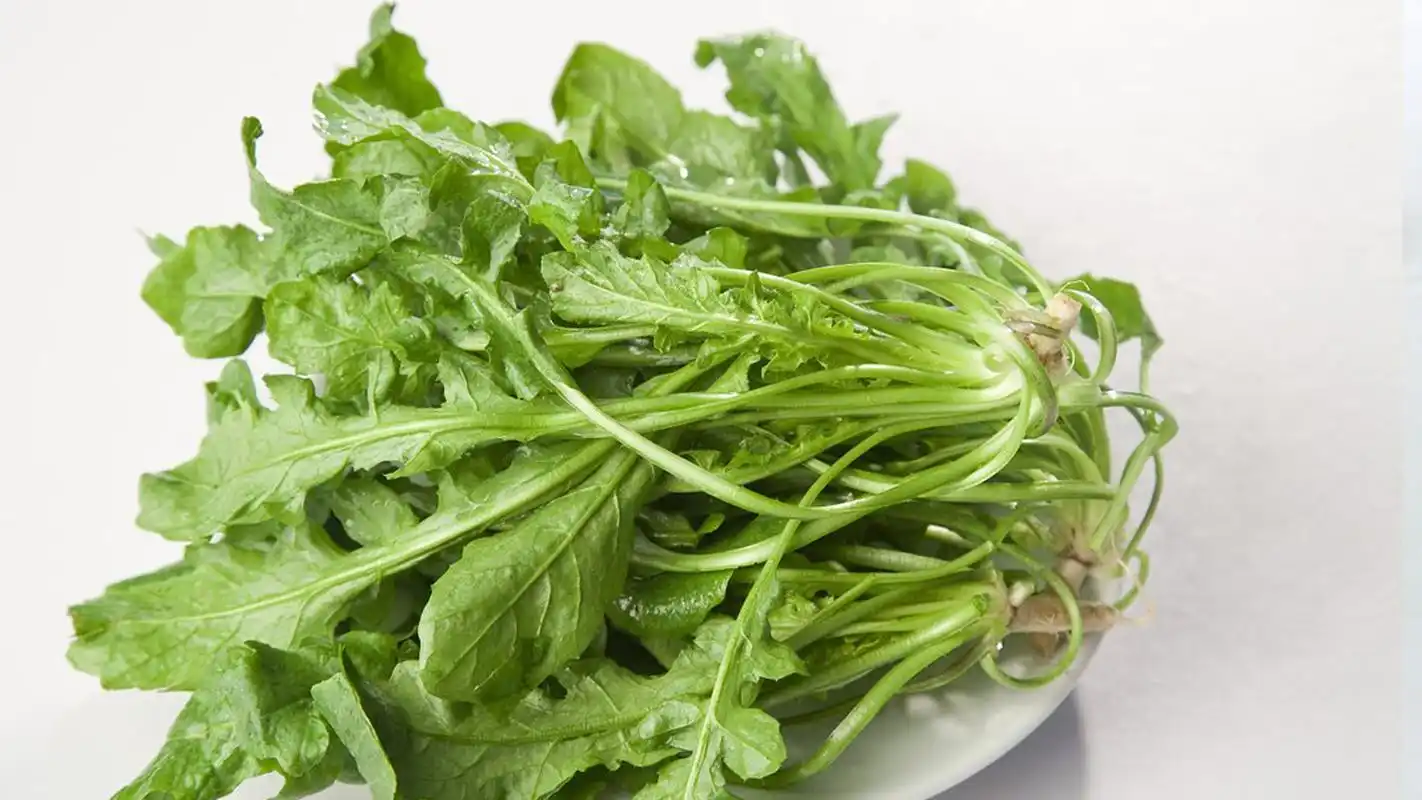 荠荠菜的功效与作用图片(荠荠菜的功效与作用及食用方法) - 家常菜谱