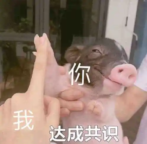 我达成共识表情包 - 日常表情包