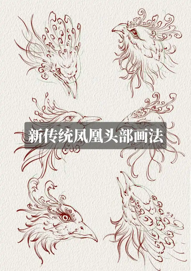 凤凰怎么画好看  #国画花鸟 #新传 - 抖音