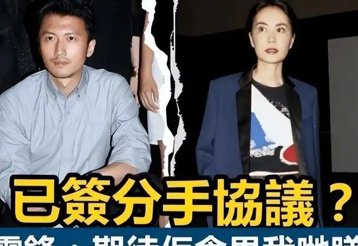 张柏芝三胎儿子照片(谢霆锋承认张柏芝三胎是亲生)