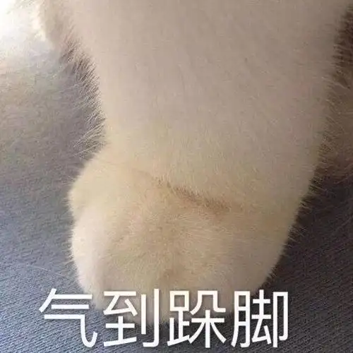 萌萌哒猫爪表情包