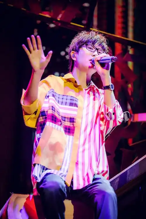 许嵩青年晚报演唱会南京站官方图集