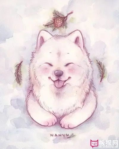 高清萌宠壁纸大全,很可爱的小动物萌图