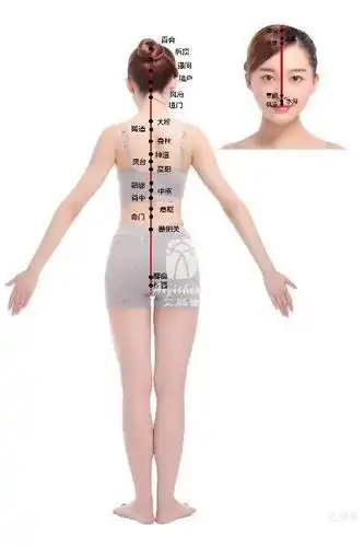 艾灸督脉升一身之阳,断一身之病!