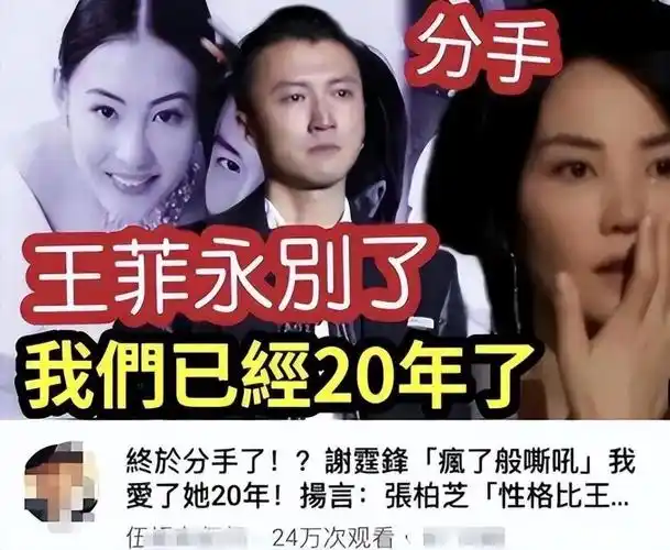 王菲谢霆锋又分手谢霆锋霸气回怼别拿我们两个搞事走开