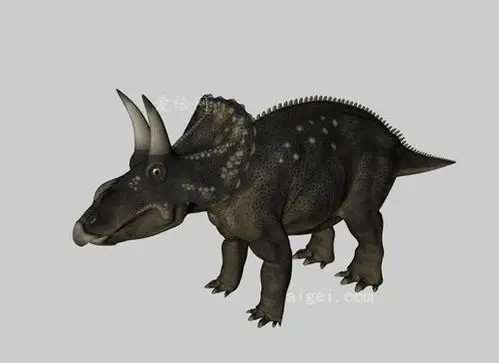 恐龙3d模型:双角龙(diceratops)