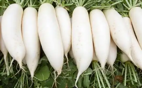 秋分吃什么食物养生 八大秋分养生食谱为你揭晓