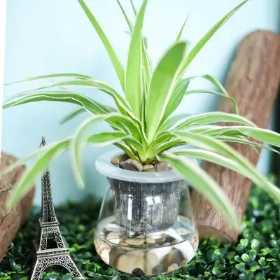 办公室防辐射玻璃盆栽