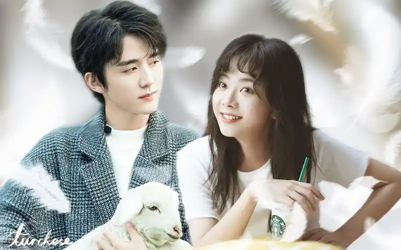 张新成/谭松韵【暖暖】是不是世界上所有的小哥都这么暖_哔哩哔哩 (゜