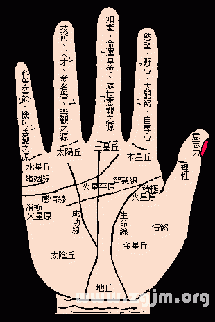 凯帝阿手相算命图解大全03