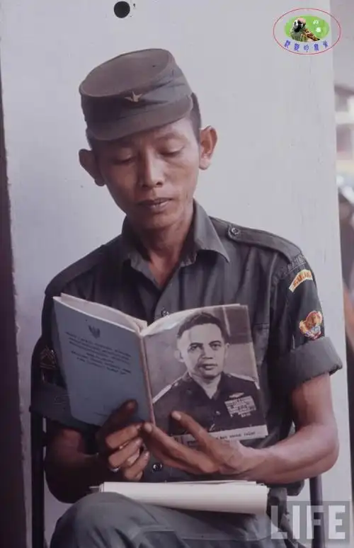 越战风云美国大兵在越南第二集