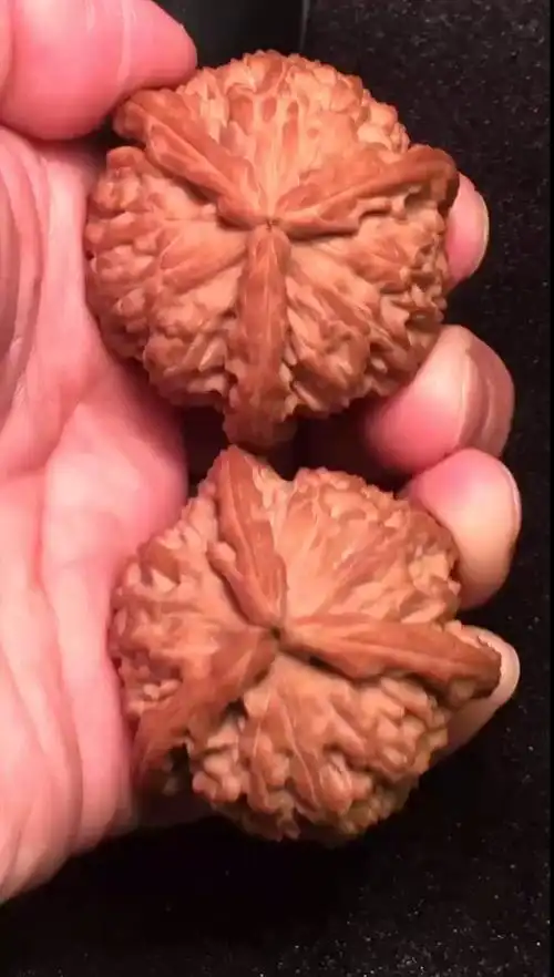 文玩核桃#收藏版白狮子三棱正奔