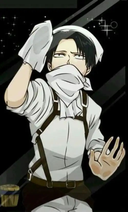 利威尔锁屏擦玻璃233