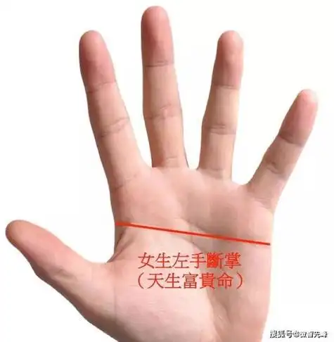 手背上有痣代表什么